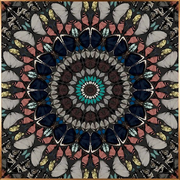 CIRCUM Butterflies Artwork #3