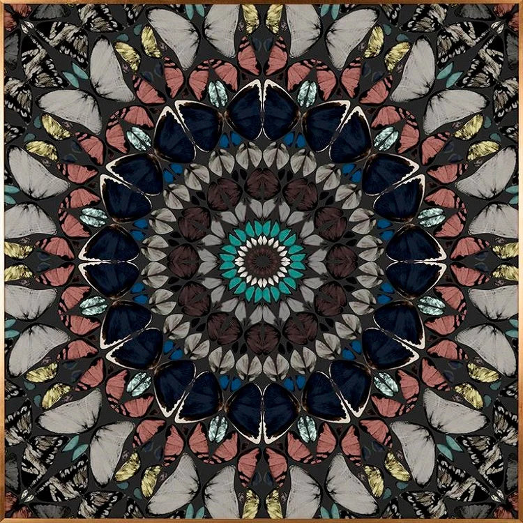 CIRCUM Butterflies Artwork #3