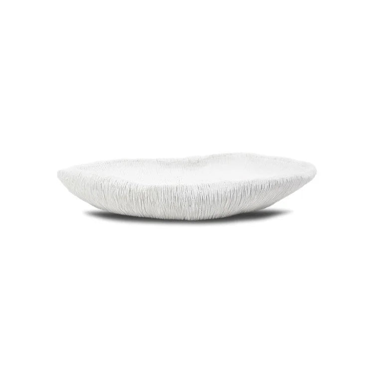 COVI Plate | OVO
