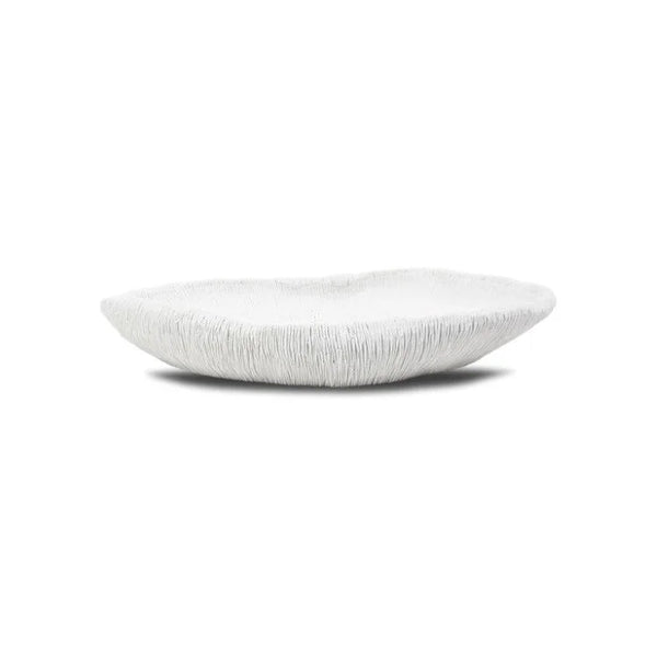 COVI Plate | OVO