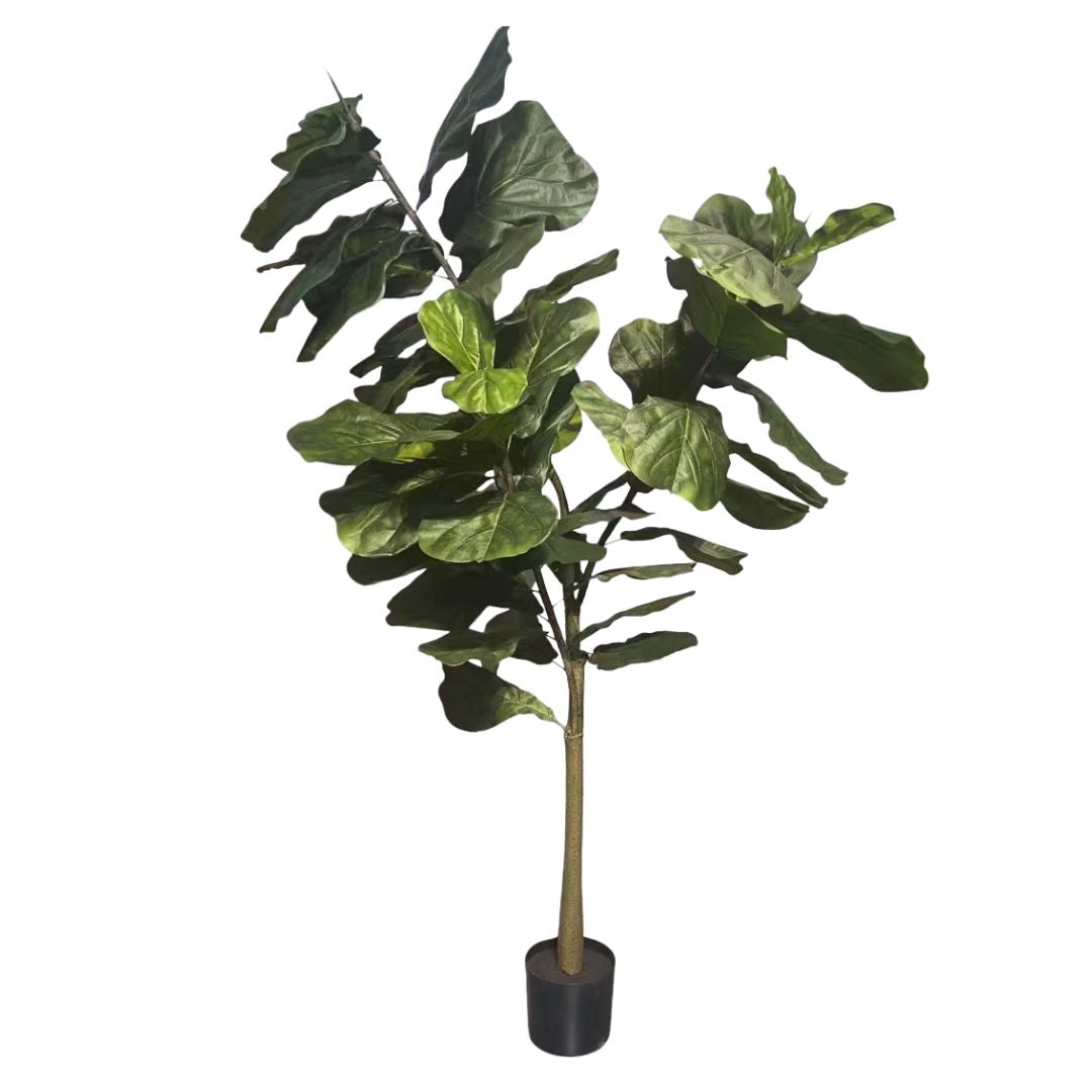 Artificial Fiddle Leaf Fig