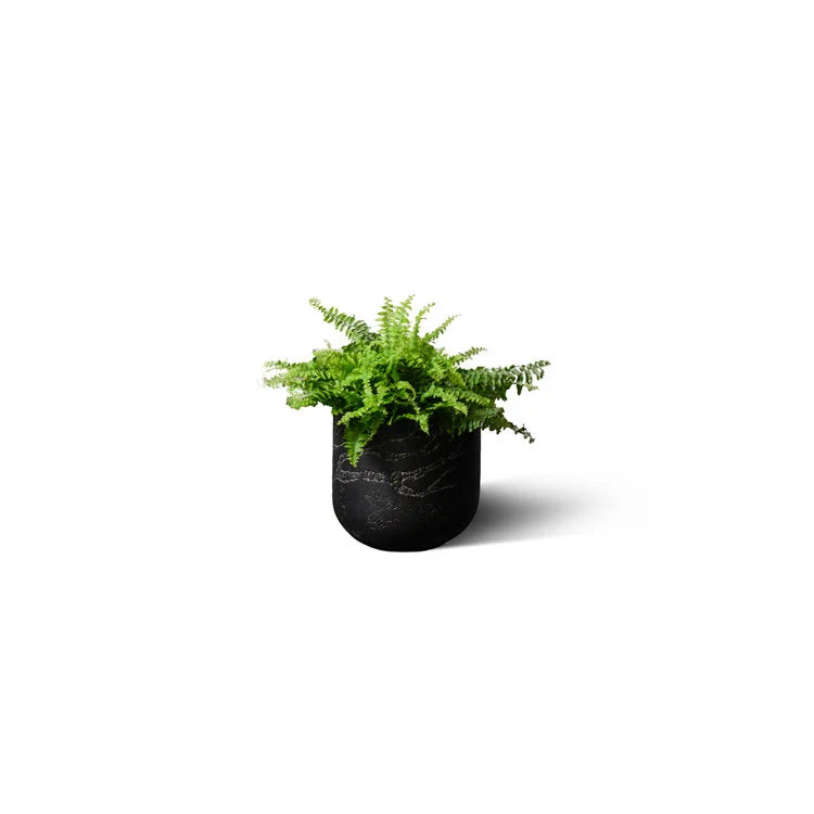 FERN Round Vase - H240mm