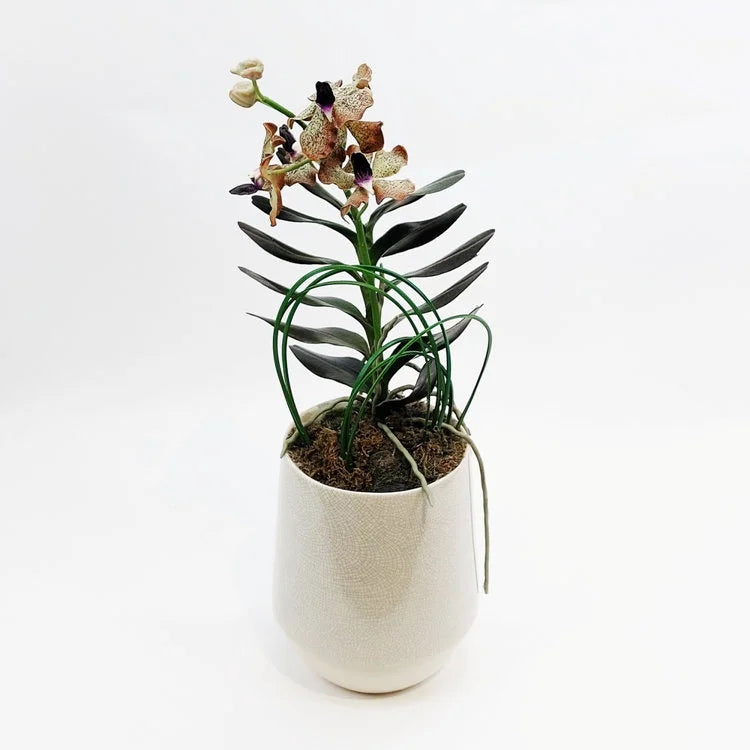 FUSION White Vase with Artificial Flower | OVO