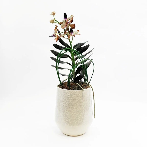 FUSION White Vase with Artificial Flower | OVO