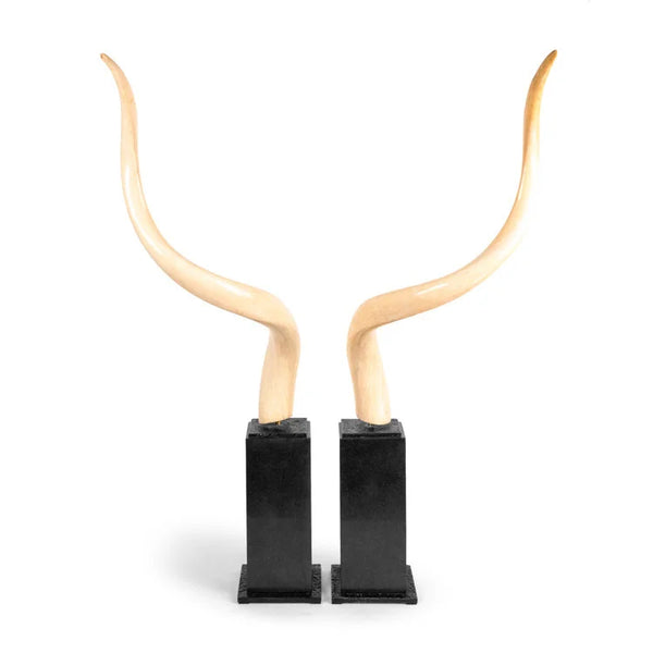 Kudu Horn , Set of 2 | OVO