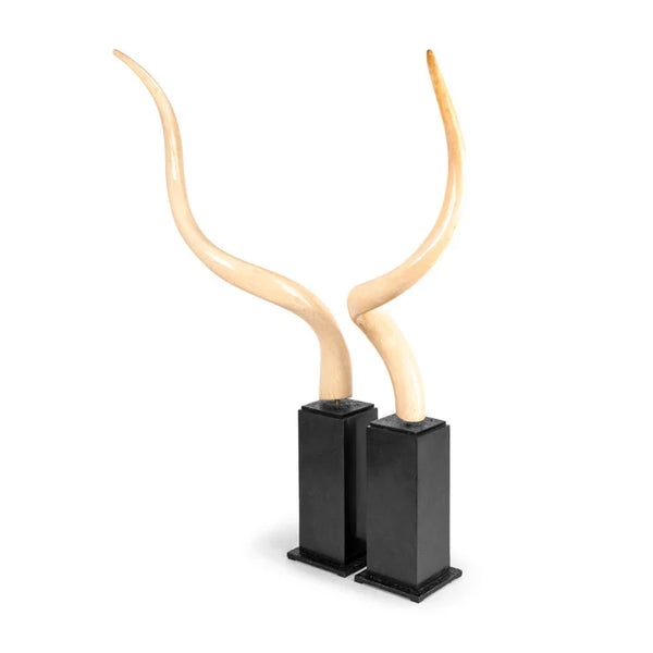 Kudu Horn , Set of 2 | OVO