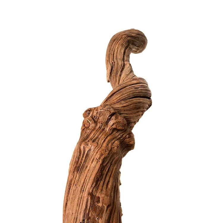 Liana Root with Base - Single | OVO