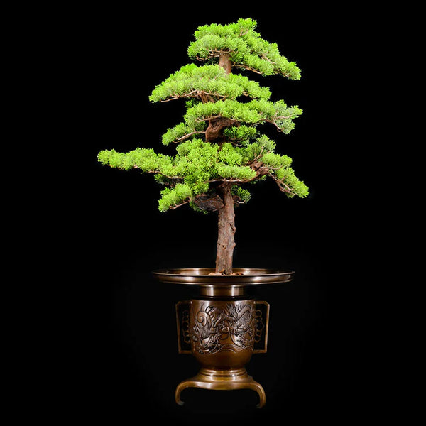 MEIJI Bronze Utsubata Ikebana #5