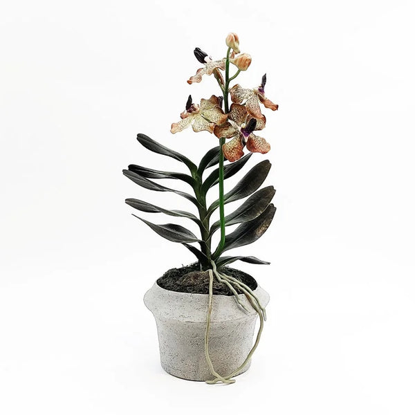 Mush Pot with Artificial Flower | OVO