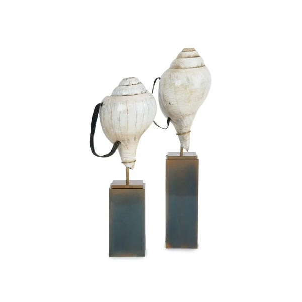 OLD Conch White, set of 2