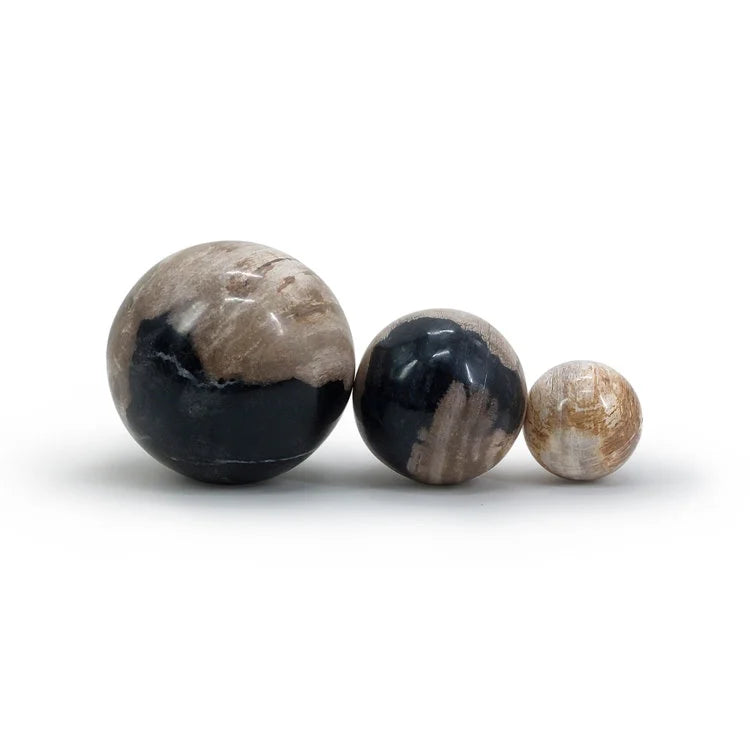 Petrified Wood Ball | OVO