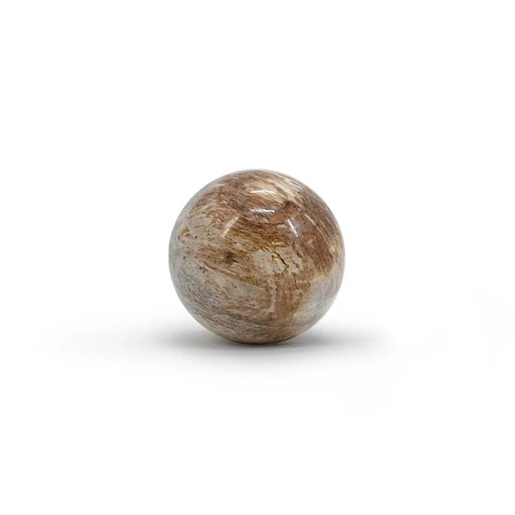 Petrified Wood Ball | OVO