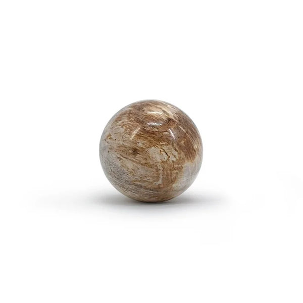 Petrified Wood Ball | OVO