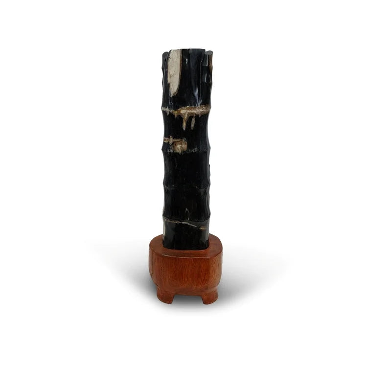 BAMBOO Petrified Wood Sculpture | OVO