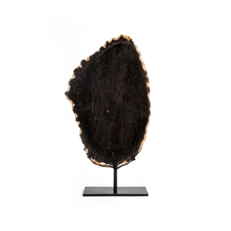 Slab Petrified Wood - OVO