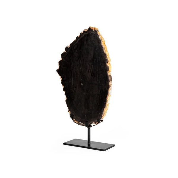 Slab Petrified Wood - OVO