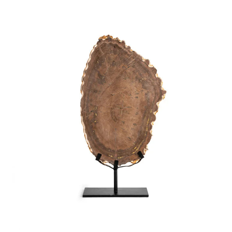 Slab Petrified Wood - OVO