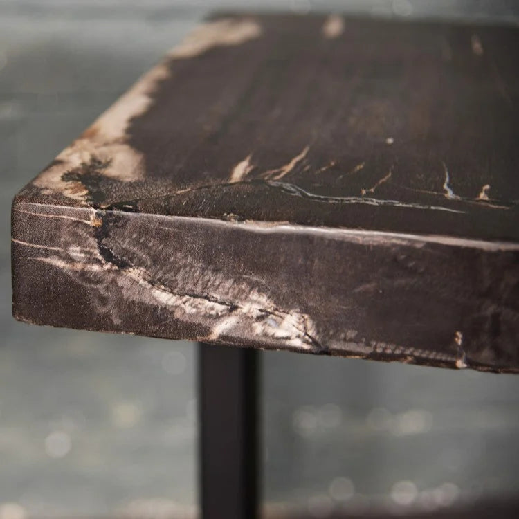 Petrified Wood Side Table | OVO