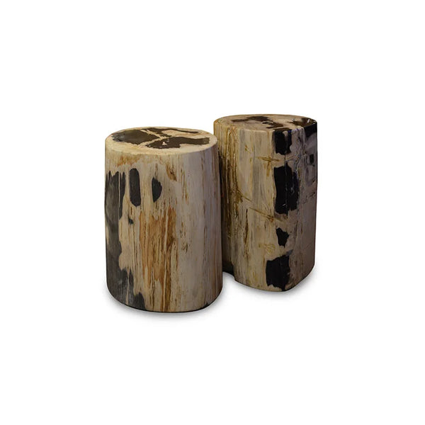 PETRIFIED Wood Stool