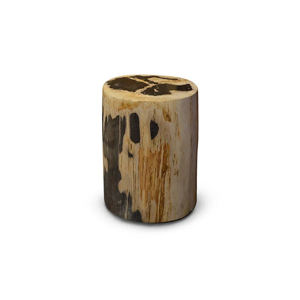 PETRIFIED Wood Stool