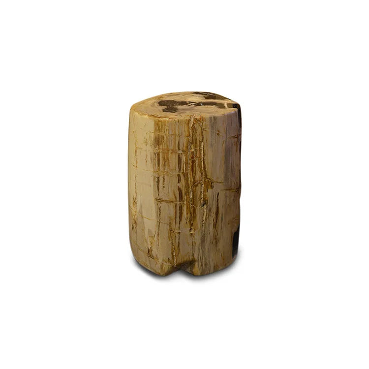 PETRIFIED Wood Stool