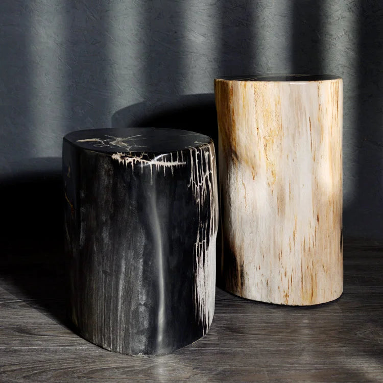 PETRIFIED Wood Stool