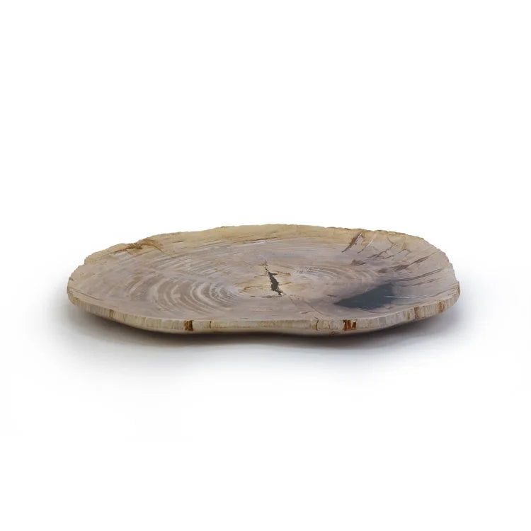Petrified Wood Tray | OVO