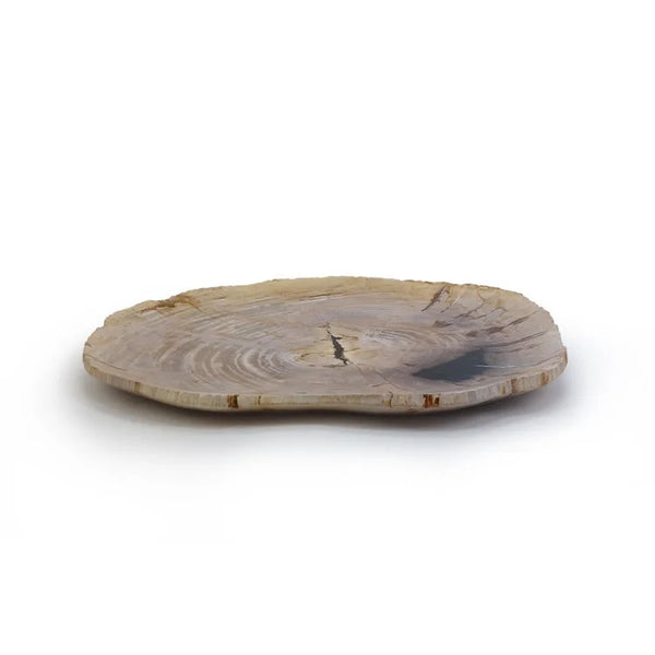 Petrified Wood Tray | OVO