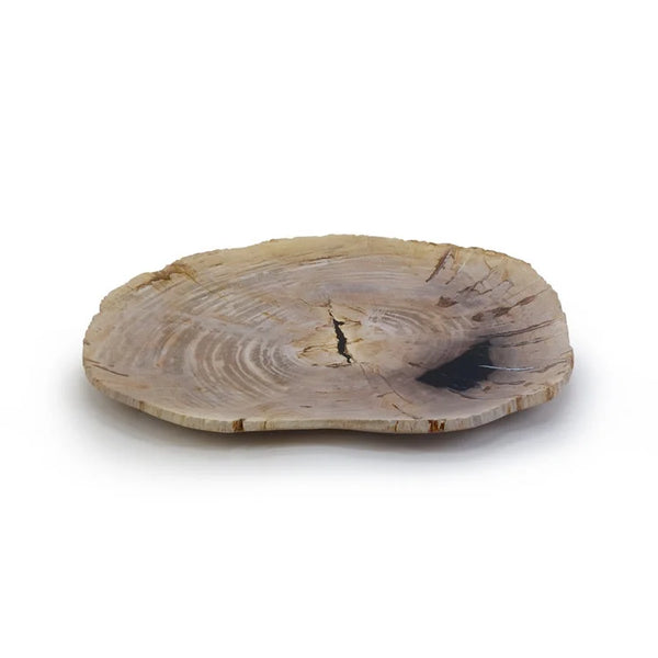 Petrified Wood Tray | OVO
