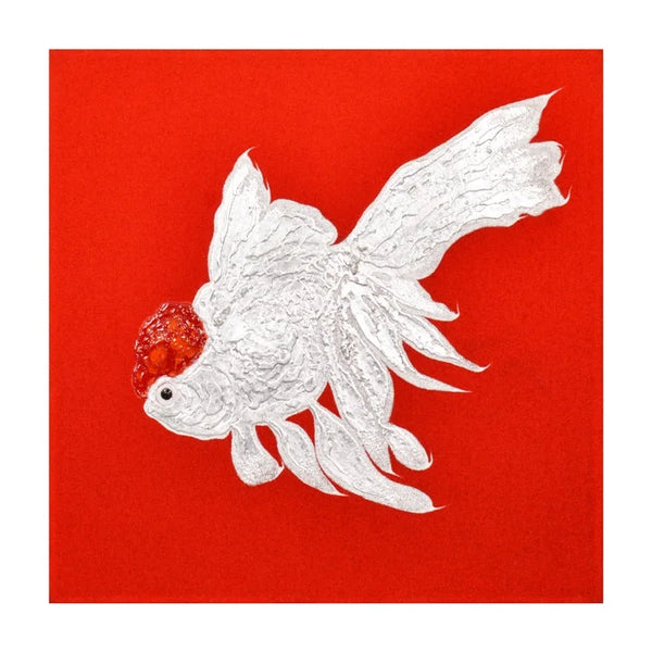 Red Cap Oranda #2 - OVO