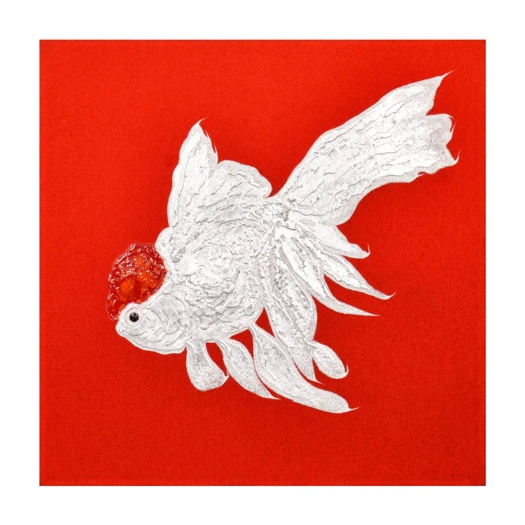 Red Cap Oranda #2 - OVO