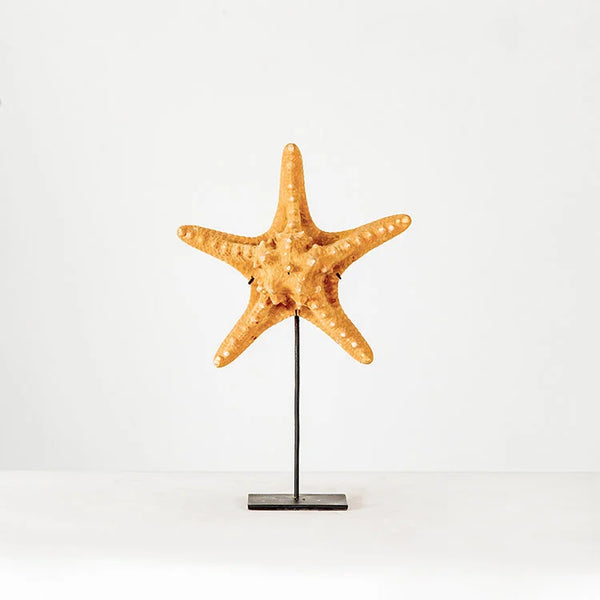 Starfish w/ Stand | OVO