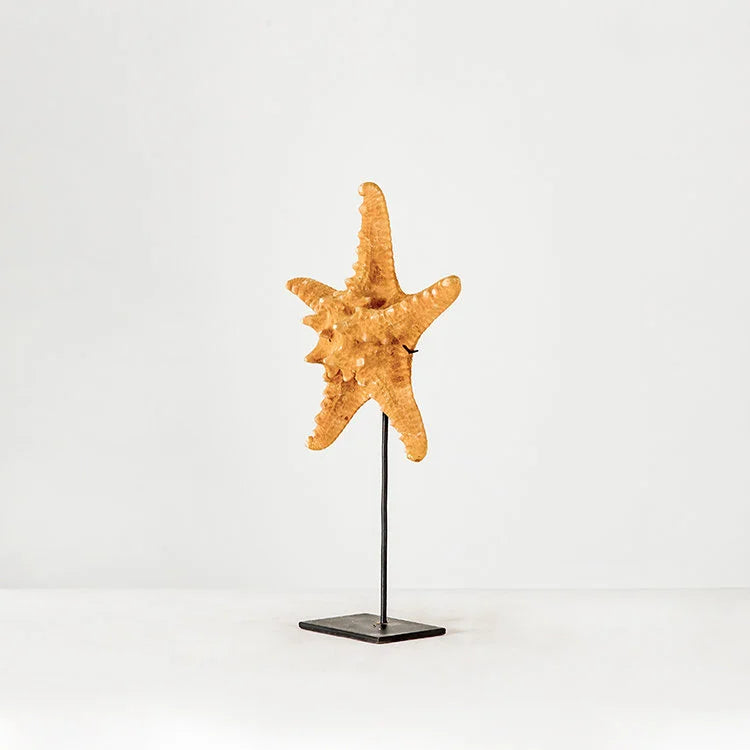 Starfish w/ Stand | OVO