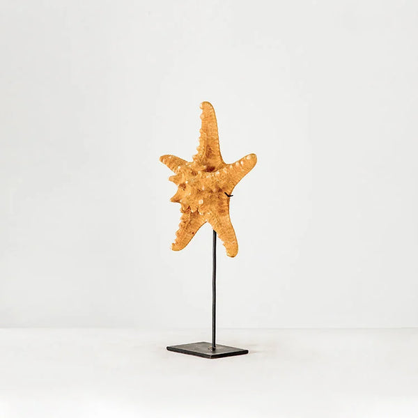 Starfish w/ Stand | OVO