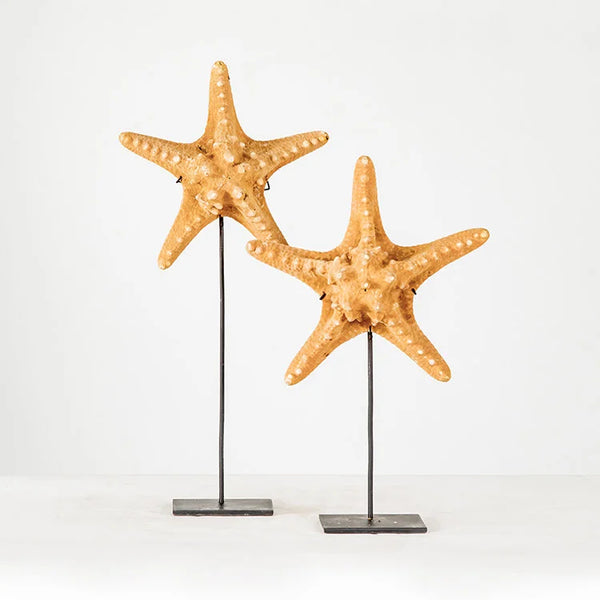 Starfish w/ Stand | OVO
