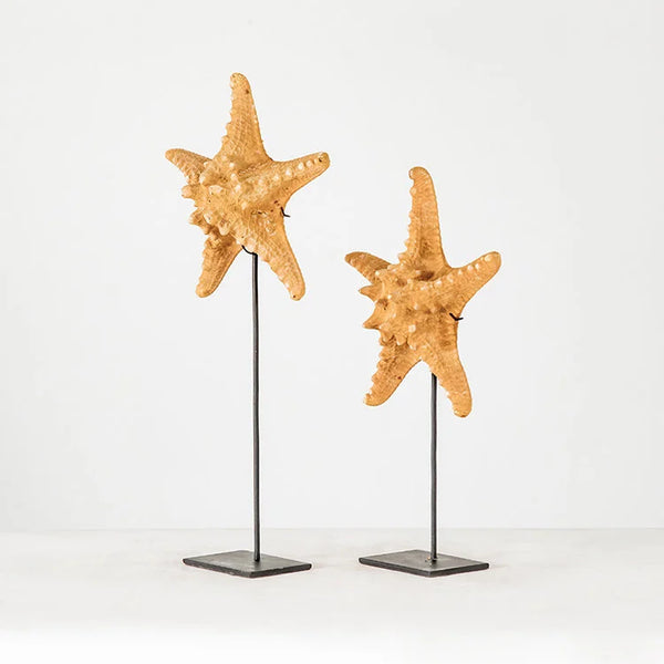 Starfish w/ Stand | OVO